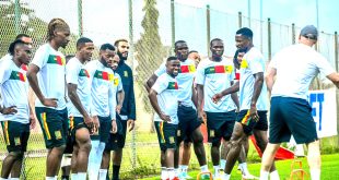 Cameroon Climbs the FIFA Ladder: Triumph Amidst Tensions for the Indomitable Lions