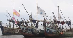Unregulated Chinese fishing threatens livelihoods in Cameroon | + video