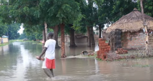 Devastating floods in Cameroon: Thousands Displaced, Infrastructure destroyed | + video