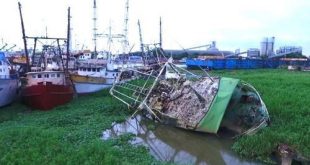 Douala Port Resumes CFA10bn Project to Remove 50 Shipwrecks