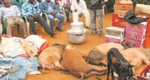 Reconnaissance légale du mariage coutumier au Cameroun : Une avancée historique pour les droits des femmes